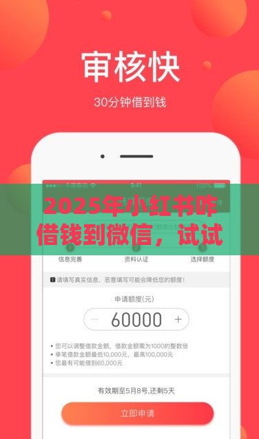 2025年小红书咋借钱到微信，试试这5个最新可靠的小额贷款平台