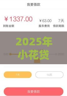 2025年小花贷款下款容易吗安全吗，试试这五个最新门槛低的贷款平台