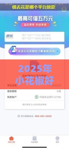 2025年小花椒好下款吗，看看这5个最新投诉贷款平台