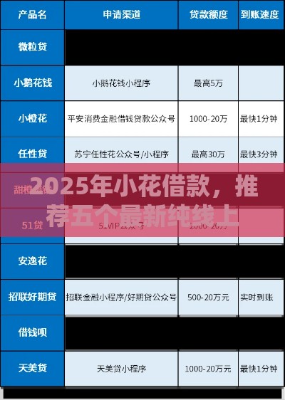 2025年小花借款，推荐五个最新纯线上贷款平台