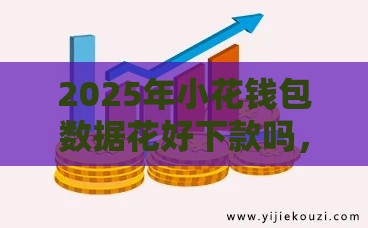 2025年小花钱包数据花好下款吗，整理五个最新通过率高的网贷平台