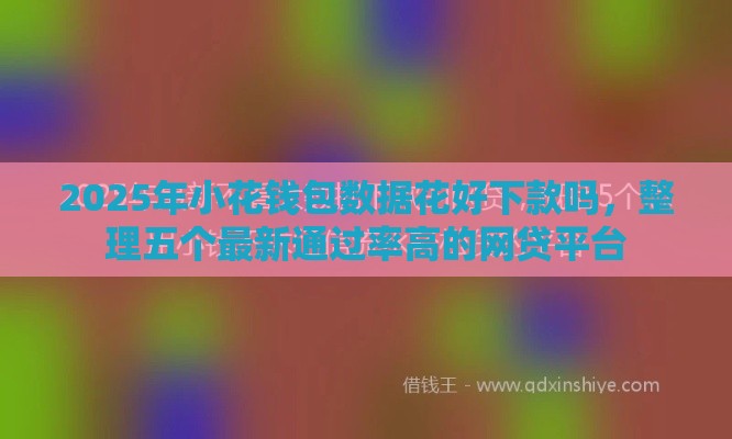 2025年小花钱包数据花好下款吗，整理五个最新通过率高的网贷平台
