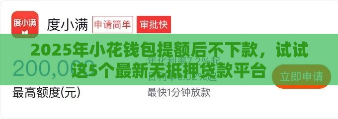 2025年小花钱包提额后不下款，试试这5个最新无抵押贷款平台