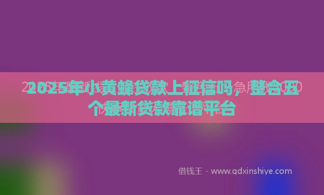 2025年小黄蜂贷款上征信吗，整合五个最新贷款靠谱平台