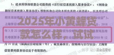 2025年小黄蜂贷款怎么样，试试这5个最新浙江车贷网平台