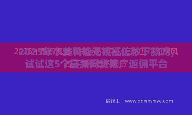 2025年小黄鸭能无视征信秒下款吗，试试这5个最新网贷推广返佣平台