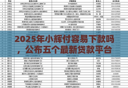 2025年小辉付容易下款吗，公布五个最新贷款平台贷款