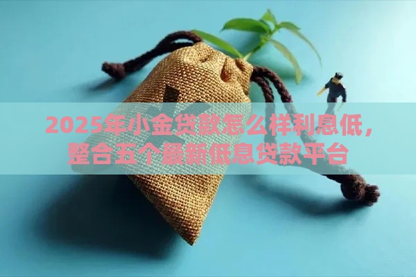 2025年小金贷款怎么样利息低，整合五个最新低息贷款平台