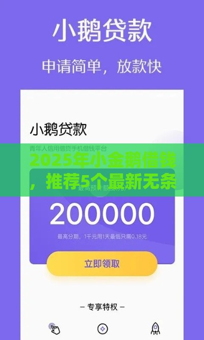 2025年小金鹅借钱，推荐5个最新无条件下款的平台