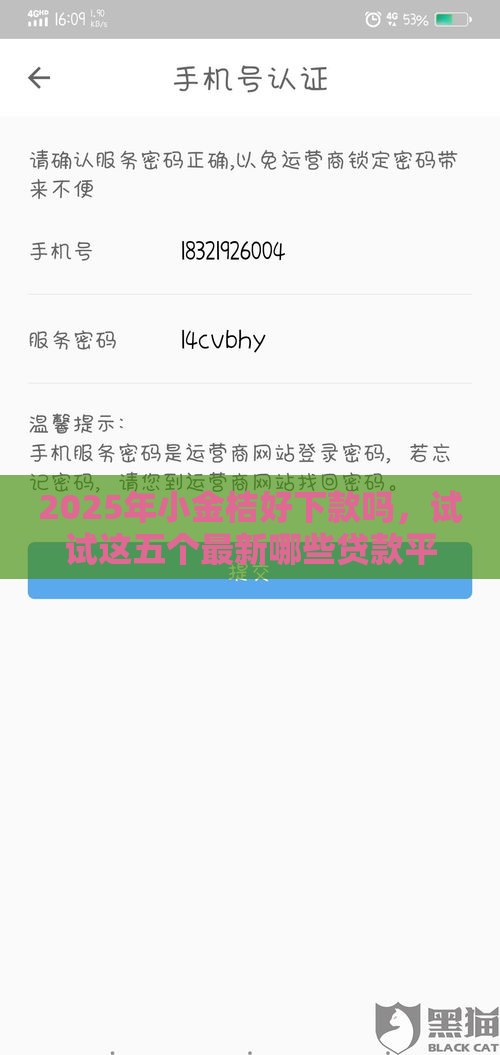 2025年小金桔好下款吗，试试这五个最新哪些贷款平台不看征信