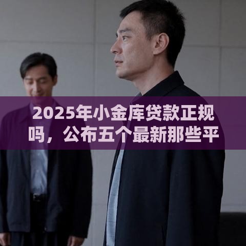 2025年小金库贷款正规吗，公布五个最新那些平台60—65岁可以借钱
