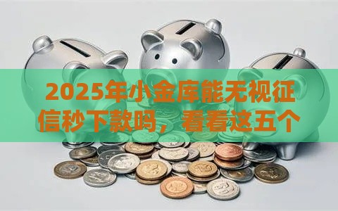 2025年小金库能无视征信秒下款吗，看看这五个最新网贷最容易下款的平台