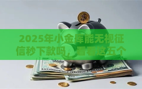 2025年小金库能无视征信秒下款吗，看看这五个最新网贷最容易下款的平台