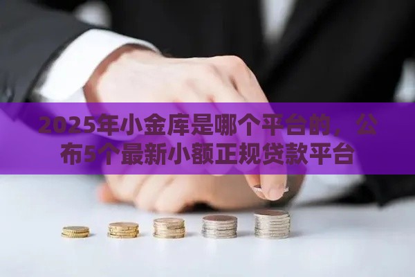 2025年小金库是哪个平台的，公布5个最新小额正规贷款平台