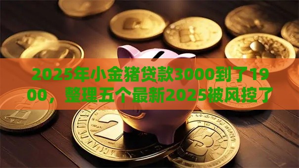 2025年小金猪贷款3000到了1900，整理五个最新2025被风控了必下的口子