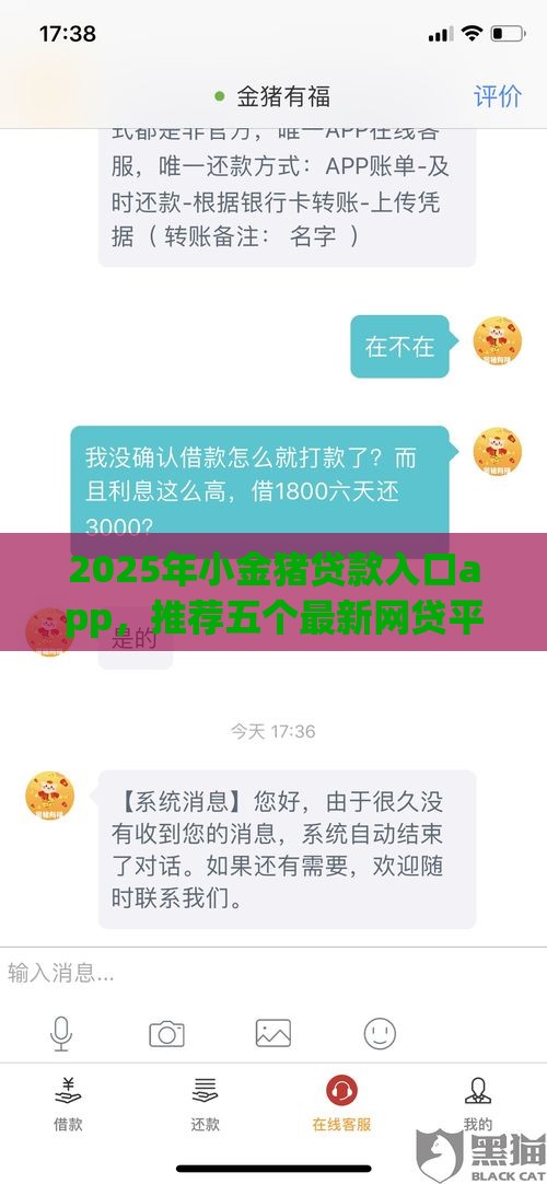 2025年小金猪贷款入口app，推荐五个最新网贷平台投诉举报电话