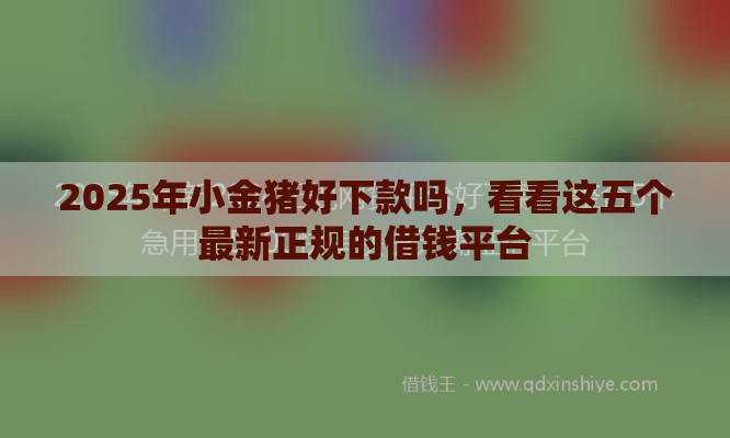 2025年小金猪好下款吗，看看这五个最新正规的借钱平台