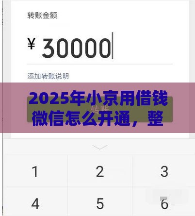2025年小京用借钱微信怎么开通，整合5个最新上海网贷平台