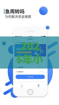 2025年小鲸借款好下款吗，梳理五个最新网贷平台借款好审批