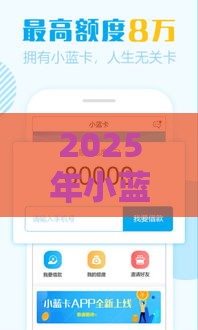 2025年小蓝卡有信用卡好下款吗，公布5个最新容易下款的小额贷款平台