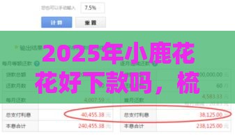 2025年小鹿花花好下款吗，梳理五个最新利息低的正规借钱平台