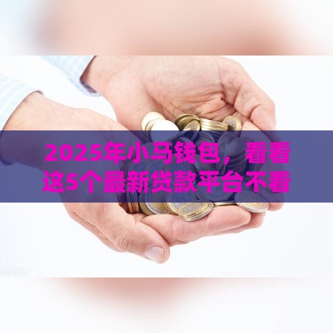 2025年小马钱包，看看这5个最新贷款平台不看征信不看逾期