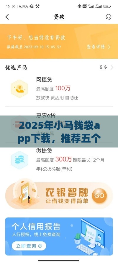 2025年小马钱袋app下载，推荐五个最新黑网贷口子大全