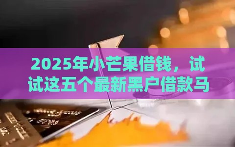 2025年小芒果借钱，试试这五个最新黑户借款马上到账的口子