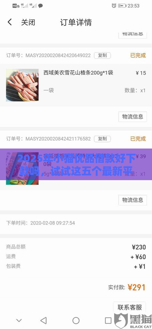 2025年小猫优品借款好下款吗，试试这五个最新平台借钱容易通过不看负债