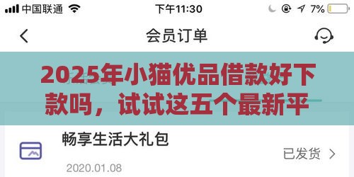 2025年小猫优品借款好下款吗，试试这五个最新平台借钱容易通过不看负债