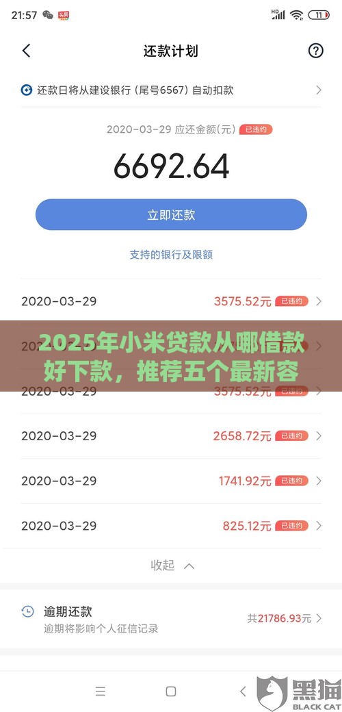 2025年小米贷款从哪借款好下款，推荐五个最新容易借到钱的平台