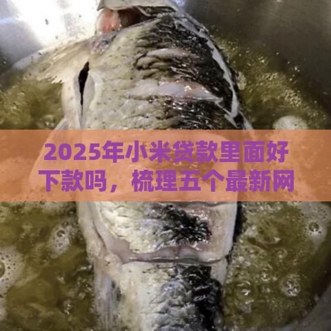 2025年小米贷款里面好下款吗，梳理五个最新网贷下款口子