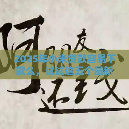 2025年小米贷款容易下款么，试试这五个最新不看征信网贷平台哪些好下款