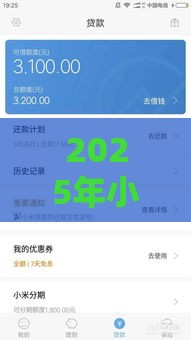 2025年小米借钱贷款，推荐5个最新安全的网贷平台排名不分先后