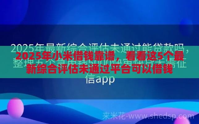 2025年小米借钱靠谱，看看这5个最新综合评估未通过平台可以借钱