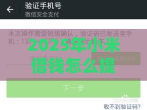 2025年小米借钱怎么提现到微信，推荐5个最新借款平台的钱好借一点