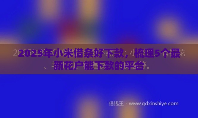 2025年小米借条好下款，梳理5个最新花户能下款的平台