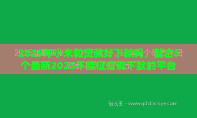 2025年小米粒贷款好下款吗，整合5个最新2025不查征信能下款的平台