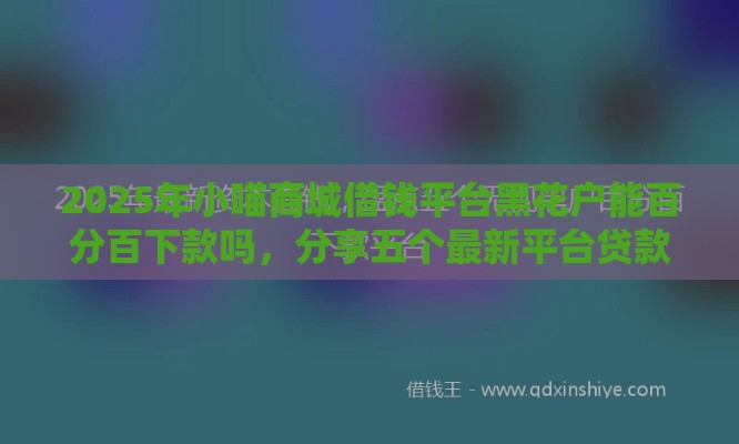 2025年小喵商城借钱平台黑花户能百分百下款吗，分享五个最新平台贷款安全