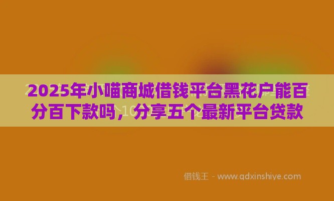 2025年小喵商城借钱平台黑花户能百分百下款吗，分享五个最新平台贷款安全