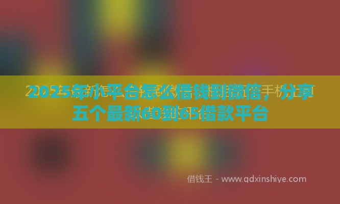 2025年小平台怎么借钱到微信，分享五个最新60到65借款平台