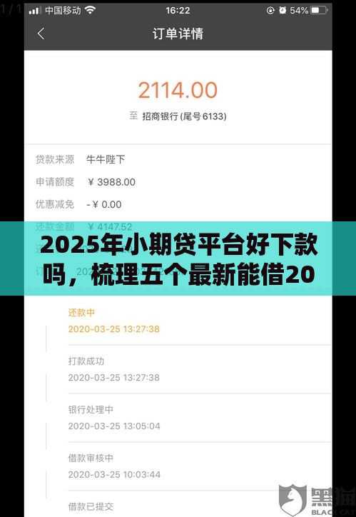 2025年小期贷平台好下款吗，梳理五个最新能借20000的贷款平台