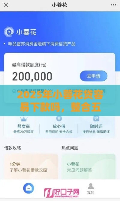 2025年小蓉花贷容易下款吗，整合五个最新平台贷款快