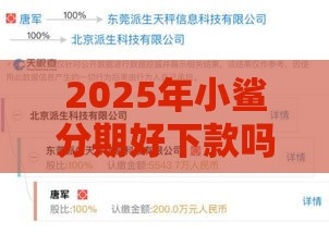 2025年小鲨分期好下款吗，梳理五个最新黑户网贷借款平台