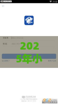 2025年小鲨易贷放款被拒了，梳理5个最新不看综合评分夜间直接能下款又正规的平台