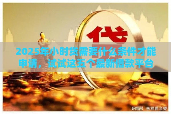 2025年小时贷需要什么条件才能申请，试试这五个最新借款平台借钱好