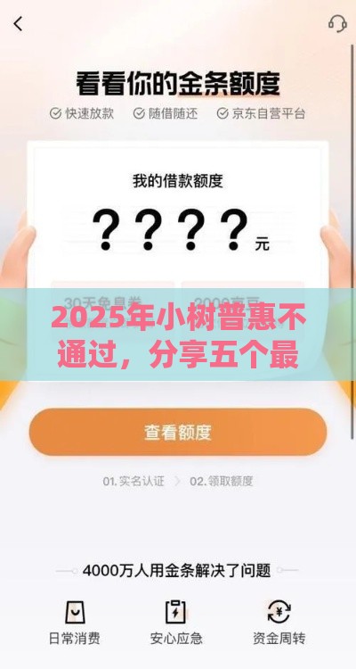 2025年小树普惠不通过，分享五个最新1个月借款平台不看征信