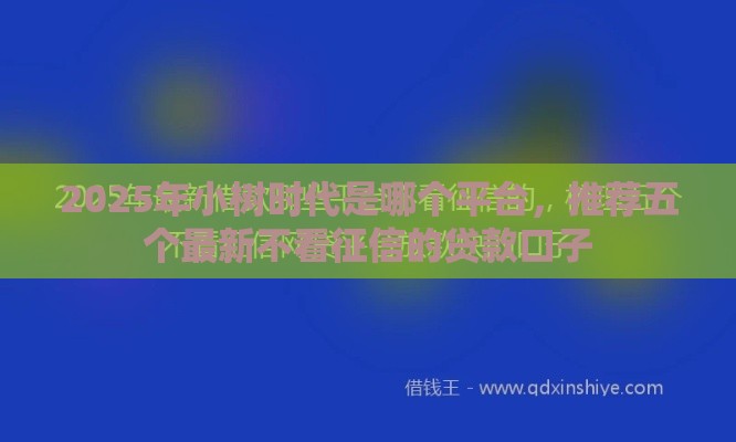 2025年小树时代是哪个平台，推荐五个最新不看征信的贷款口子