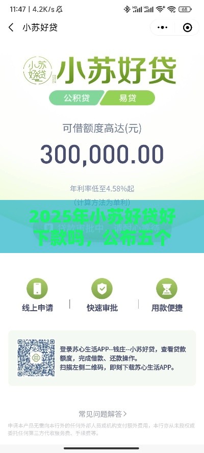 2025年小苏好贷好下款吗，公布五个最新贷款平台小额