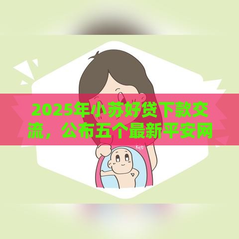 2025年小苏好贷下款交流，公布五个最新平安网贷平台